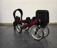 Luxo parvum 